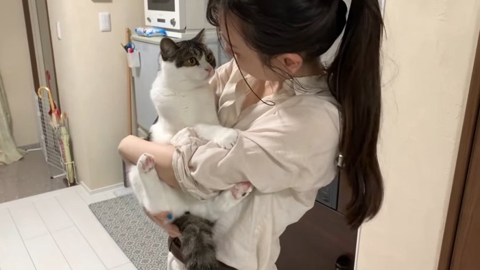 抱っこされる猫