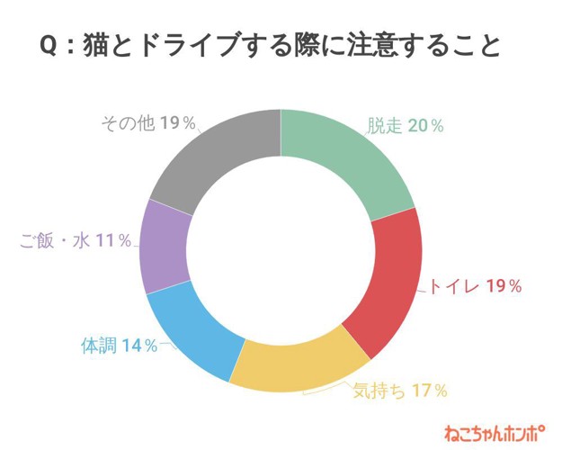 アンケート結果円グラフ