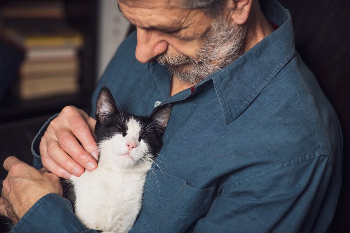 男性に抱かれて撫でられる猫