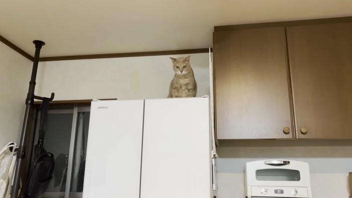 正面を向いて