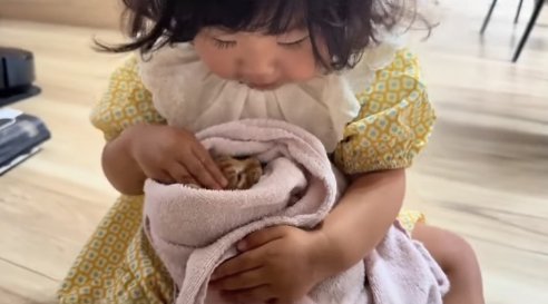 目を閉じている子猫を見ながら指3本を子猫の頭につけている子供
