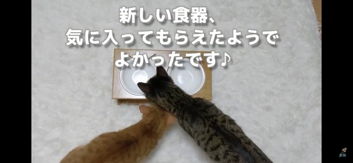 ごちそうさま