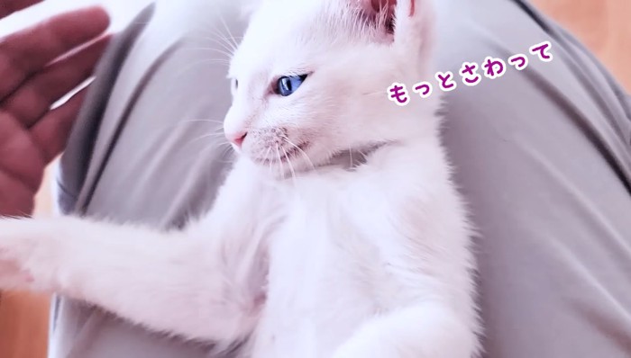 もっと触って