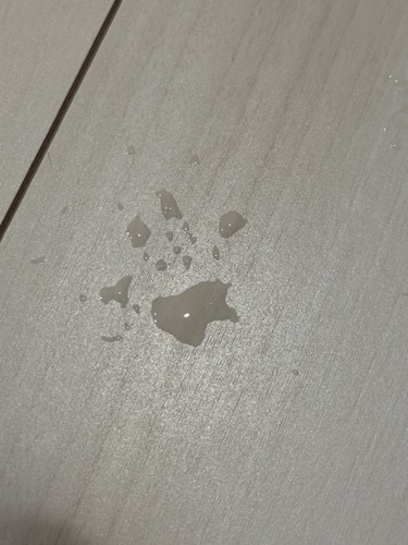 フローリングについた肉球型の水滴
