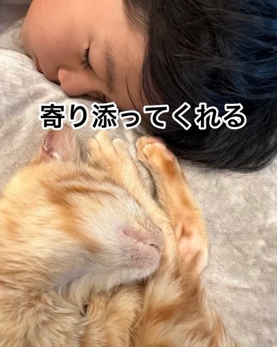 子供のそばで寝る子猫