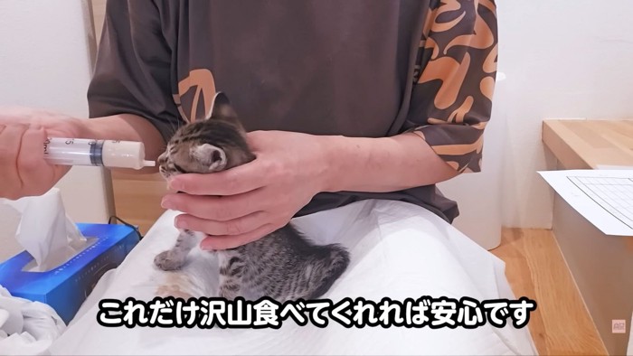 テロップ「これだけ沢山~」