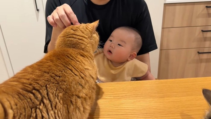 頭をなでなで
