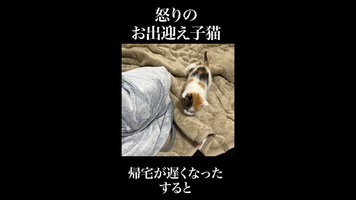 向かってくる姿