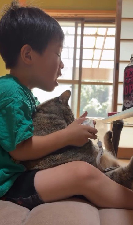 ゲームをしている男の子と猫