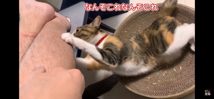 足を狙う