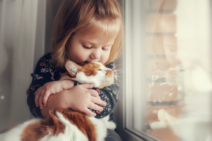 子供に抱っこされる猫