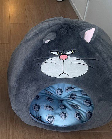 飼い主が猫たちに買ったペットハウス