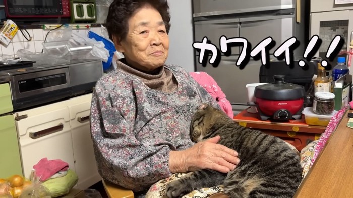 おばあちゃんと猫