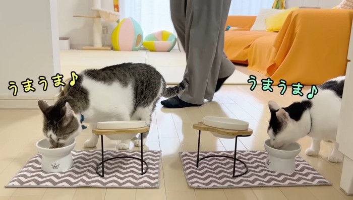 うまうま
