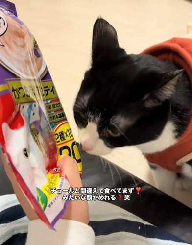 指を嗅ぐオレオちゃん
