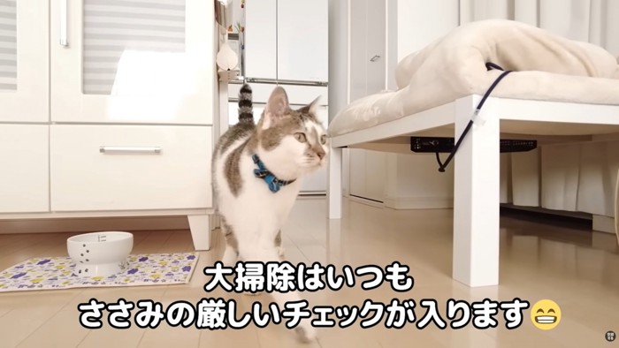 テロップ「大掃除はいつも～」