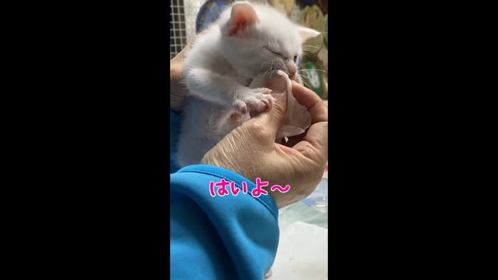 はいよ〜
