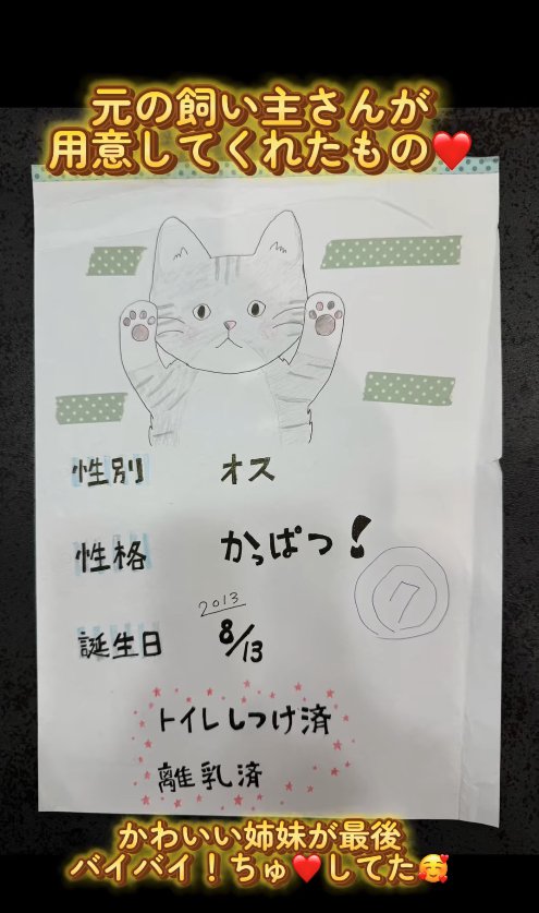 猫の絵が書かれた紙