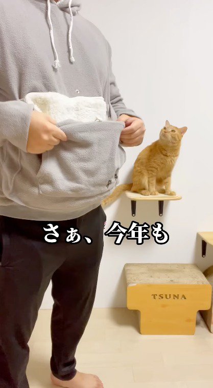 猫が入れるパーカーを着た飼い主を見つめる茶トラ猫