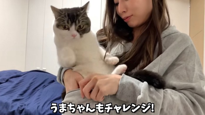 逃げようとする猫