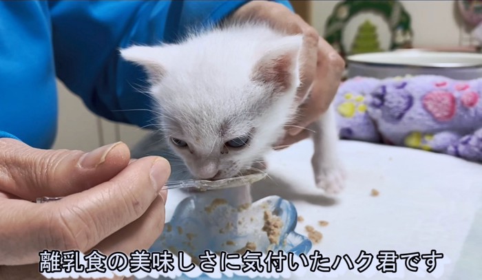 ご飯もミルクと同じくおいしいよね