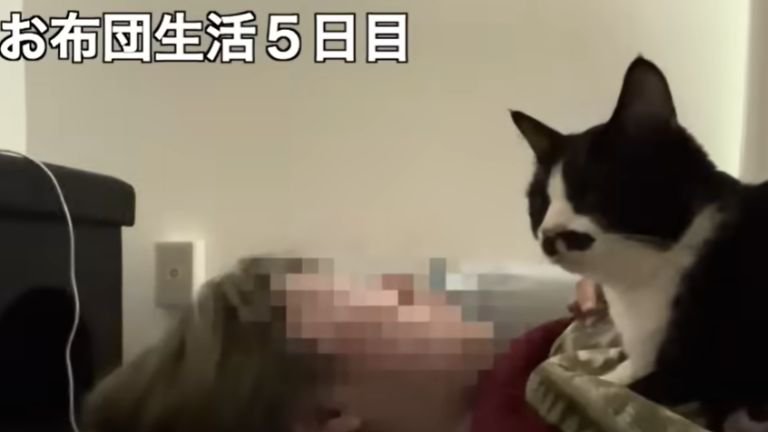 寝ている飼い主に乗っている猫