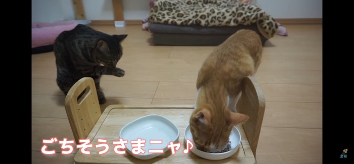 完食