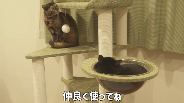 仲良く使ってね