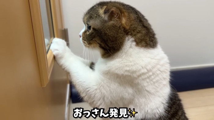 おっさん発見