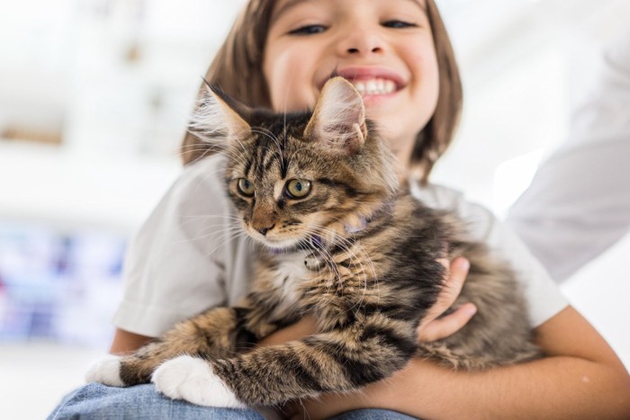 少女に抱っこされている子猫