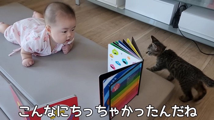 テロップ「こんなに~」