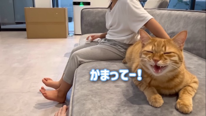 かまってー!