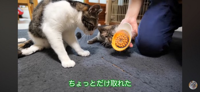 少し