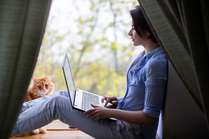 窓際でPCを触る女性と猫