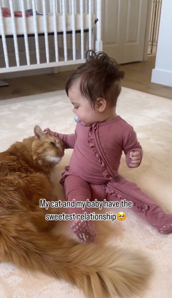 子どもが猫の頭を撫でる