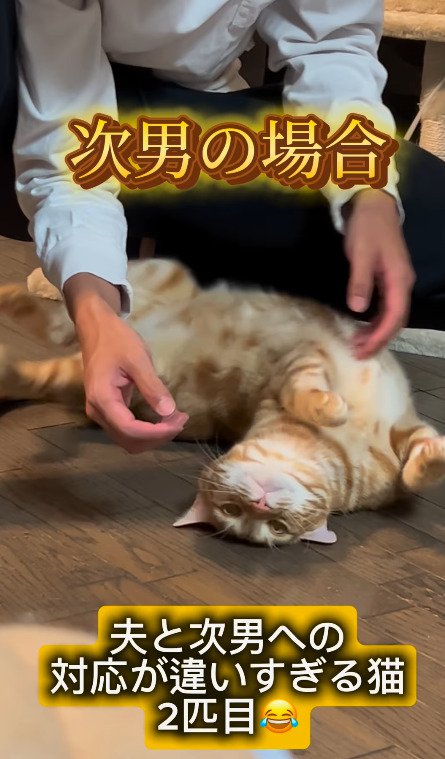 飼い主さんの次男に甘える猫