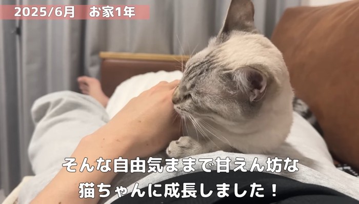 お家1年