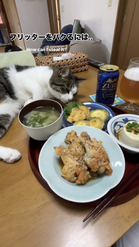 食卓で寝転がる猫