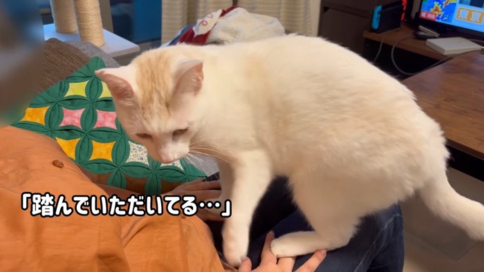 膝の上
