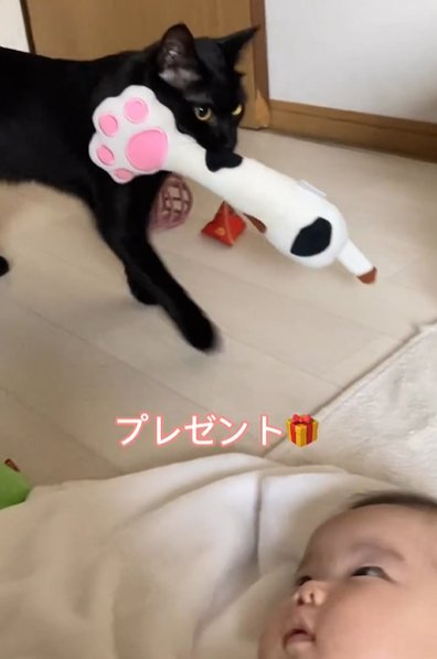 オモチャを咥えた黒猫と右下に赤ちゃん