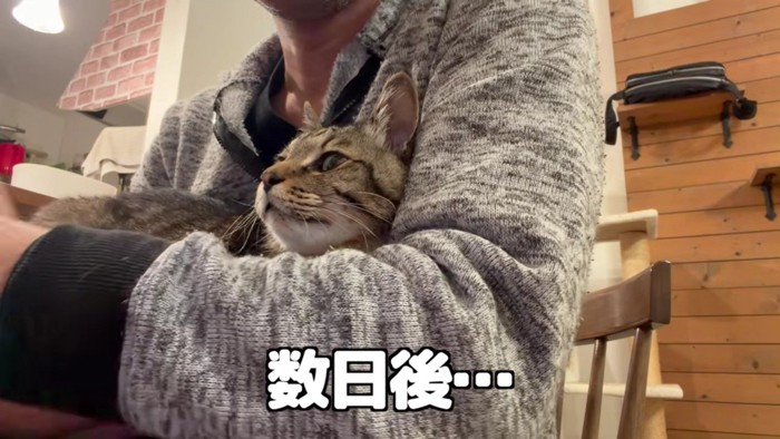 とーちゃんの腕に包まれる百太さん2