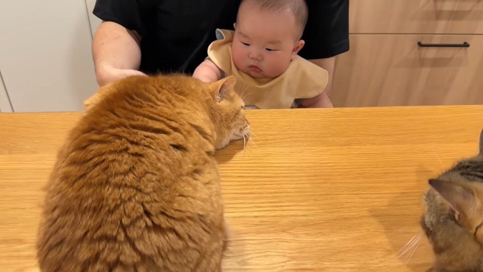 身を低くして