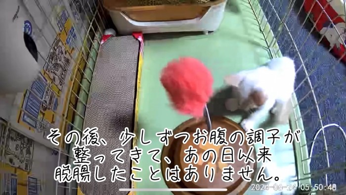 テロップ「その後、少しずつ～」