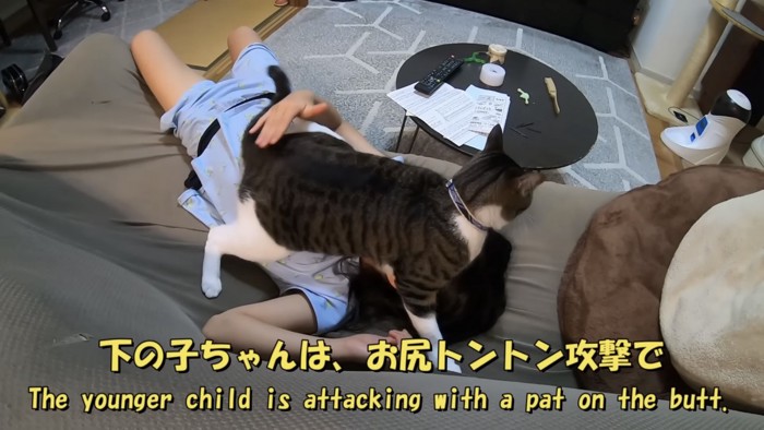 「下の子ちゃんは...」のテロップ写真