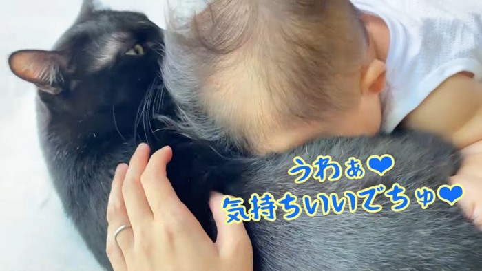 黒白猫に猫吸いする赤ちゃん