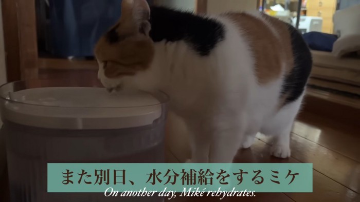 テロップ「また別日、~」