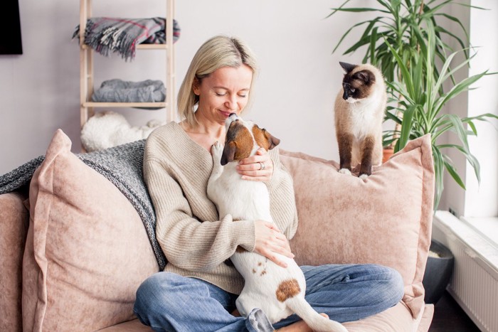 女性に甘える犬とその様子を眺める猫