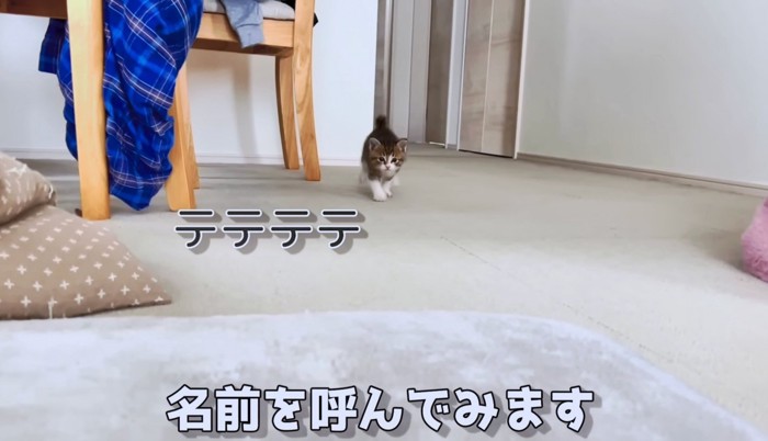 ママ、呼んだー？