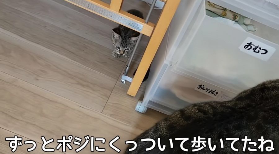 テロップ「ずっとポジに~」
