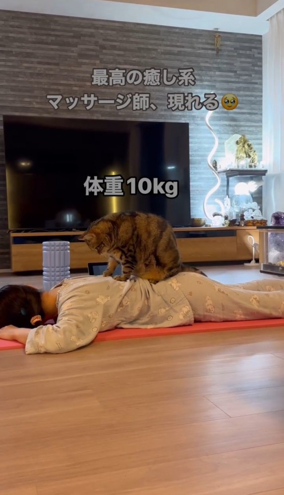 女性の背中で足踏みする猫2